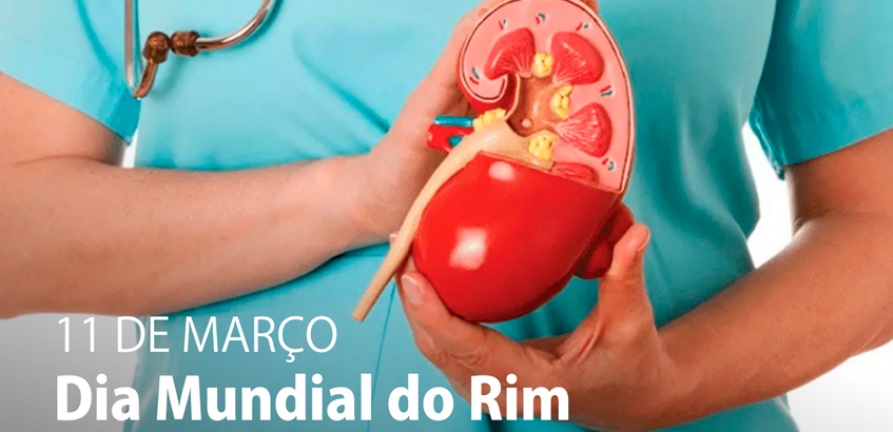 “Vivendo bem com a doença renal” é o tema do Dia Mundial do Rim