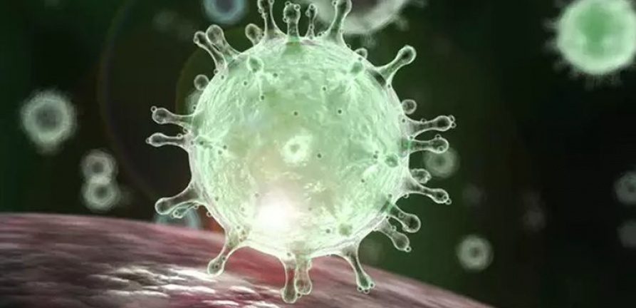Coronavírus: o que é e qual a gravidade do novo vírus